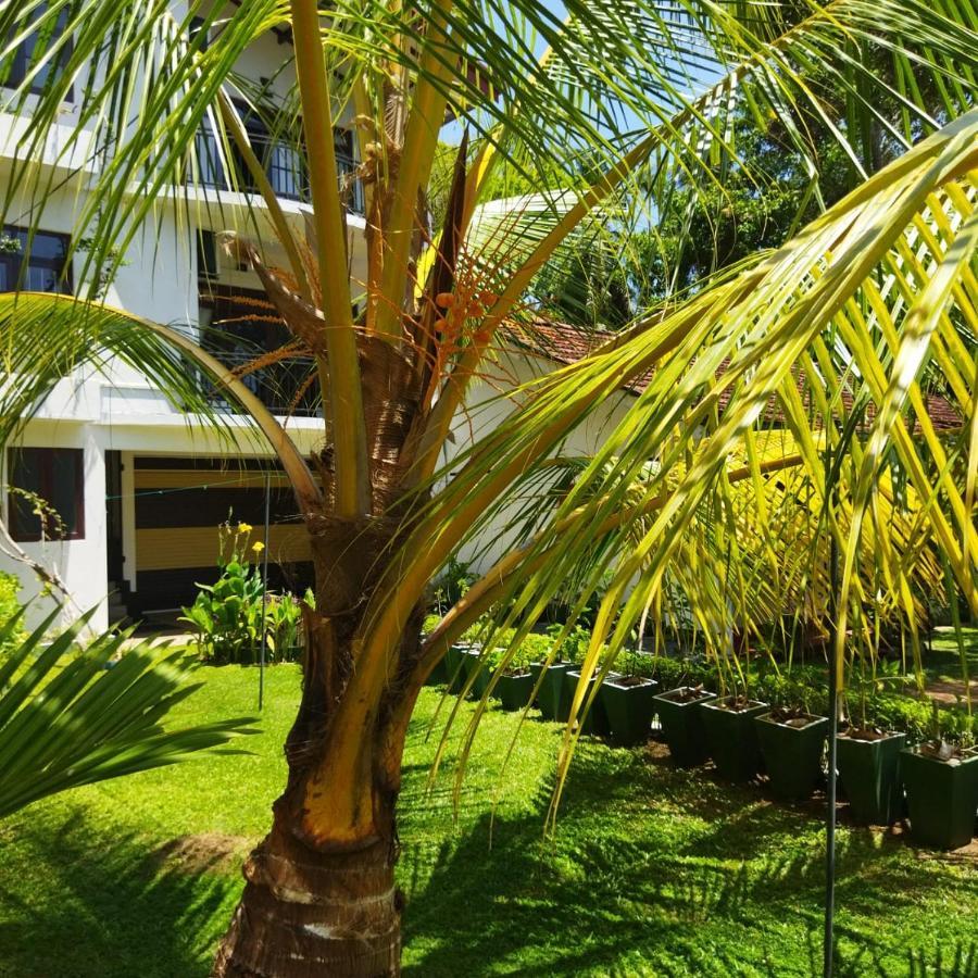 Edelweiss Residence Hikkaduwa Exterior foto